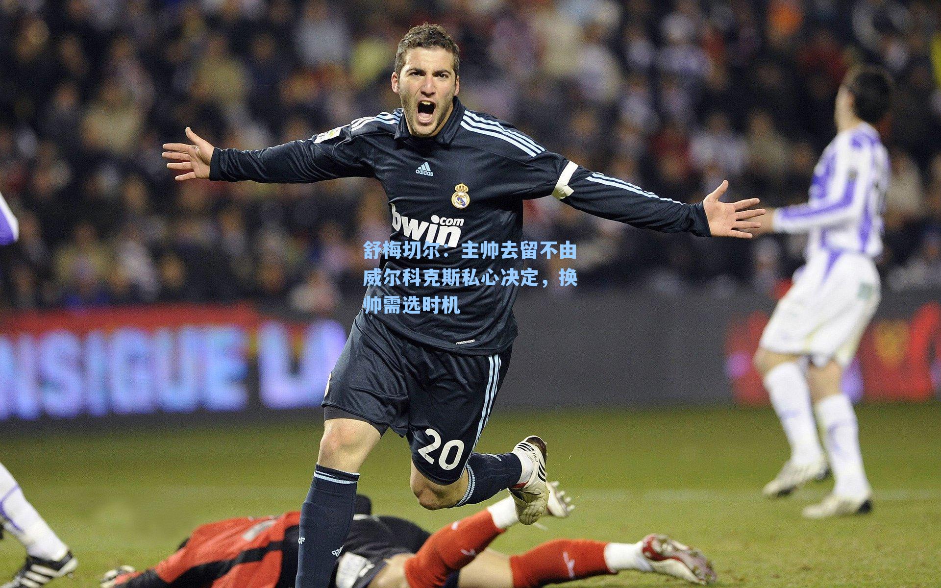 舒梅切尔:主帅去留不由威尔科克斯私心决定,换帅需选时机